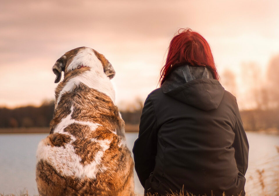 Rouw en verlies als thema van teamcoaching